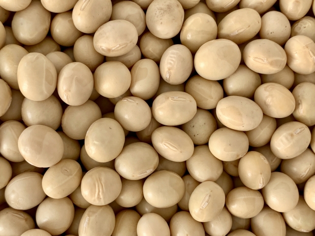 ポイントアンドフィギュア(P&F)による大豆(SOY)の日足為替レート分析